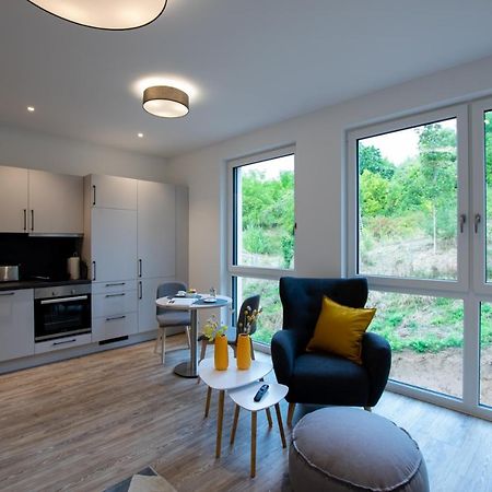 Livin63 Studio Apartments Hösbach Kültér fotó